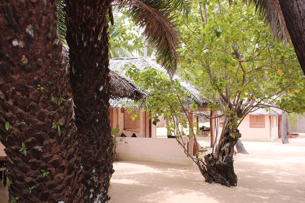 Cocodance Kitesurfing Resort Kalpitiya Kültér fotó