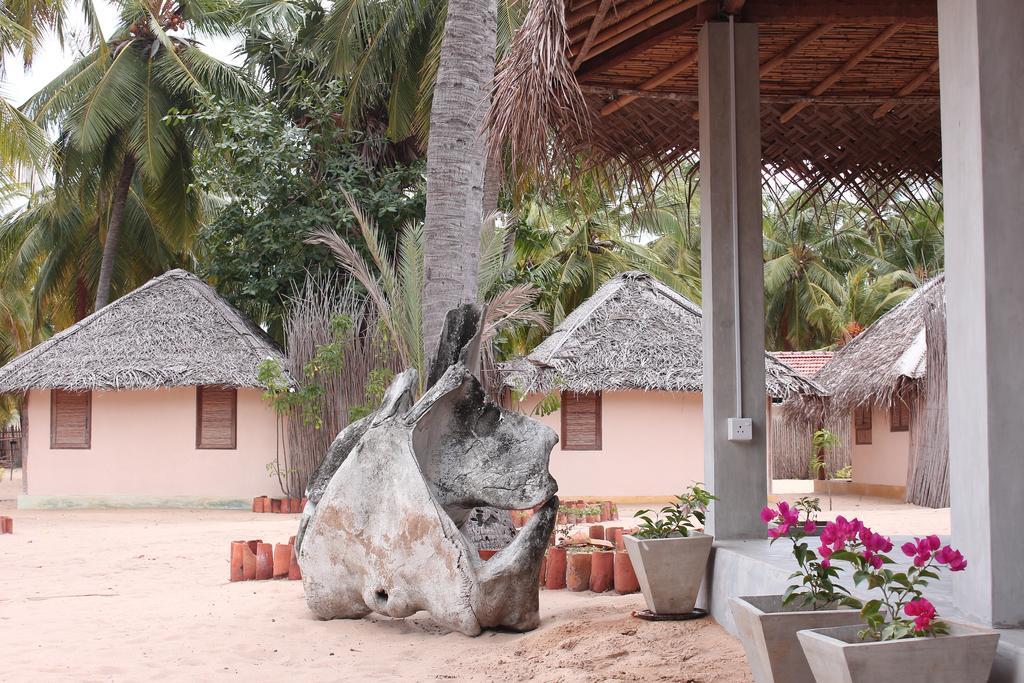 Cocodance Kitesurfing Resort Kalpitiya Kültér fotó